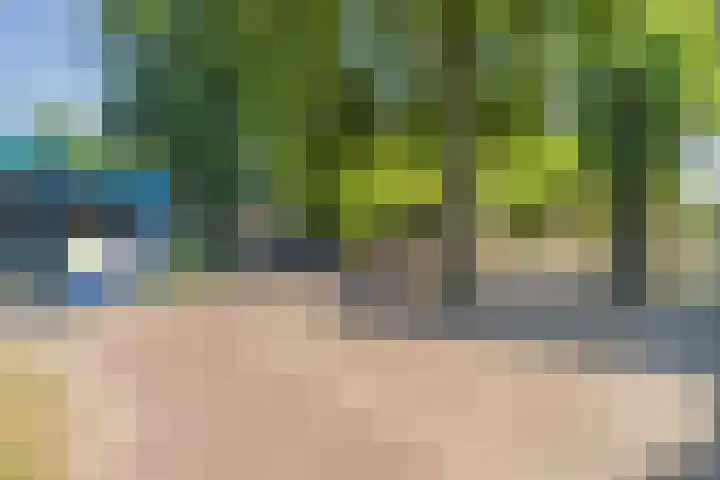 Eenlandsweg 92 Halsteren thumbnail 57