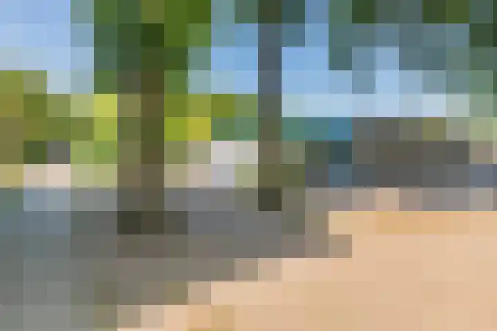 Eenlandsweg 92 Halsteren thumbnail 58