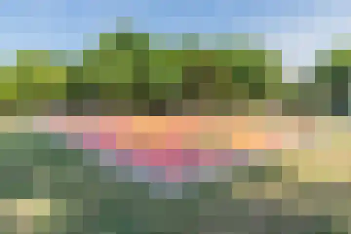 Eenlandsweg 92 Halsteren thumbnail 59