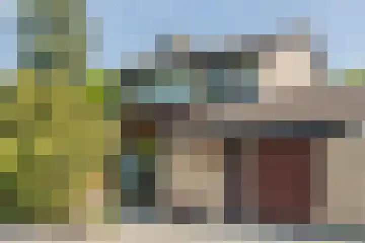 Eenlandsweg 92 Halsteren thumbnail 6