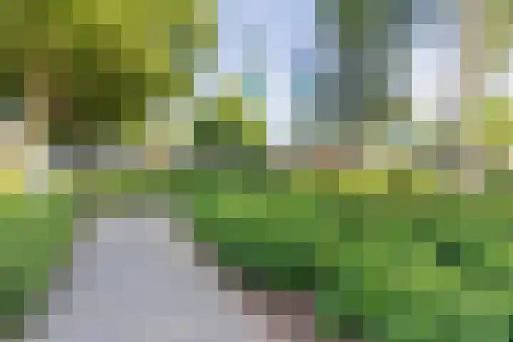 Eenlandsweg 92 Halsteren thumbnail 60