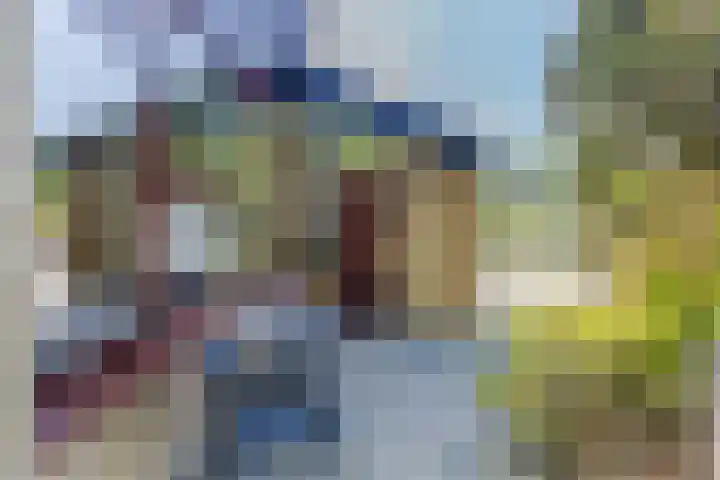 Eenlandsweg 92 Halsteren thumbnail 8