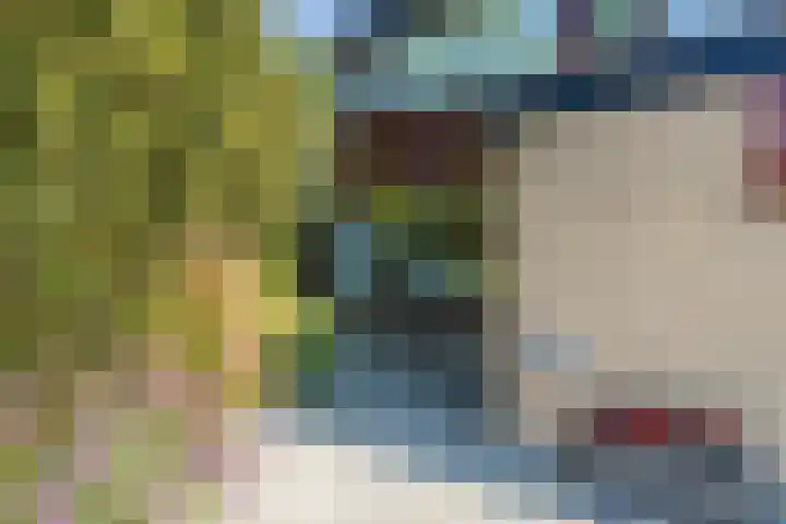 Eenlandsweg 92 Halsteren thumbnail 9
