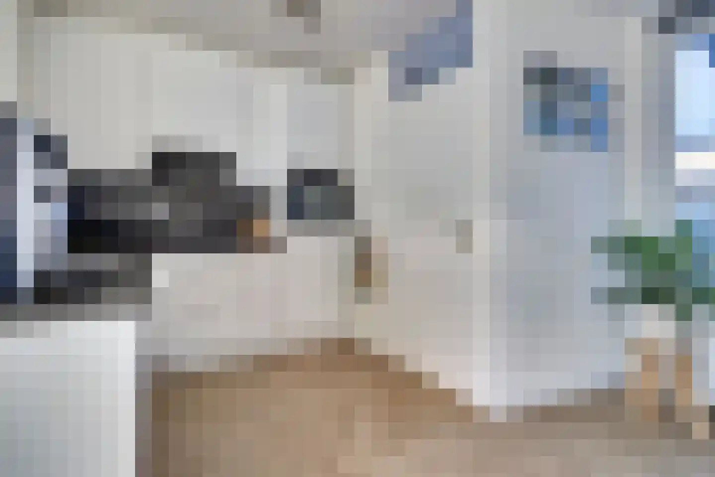 Eenoogje 6 Eindhoven thumbnail 11