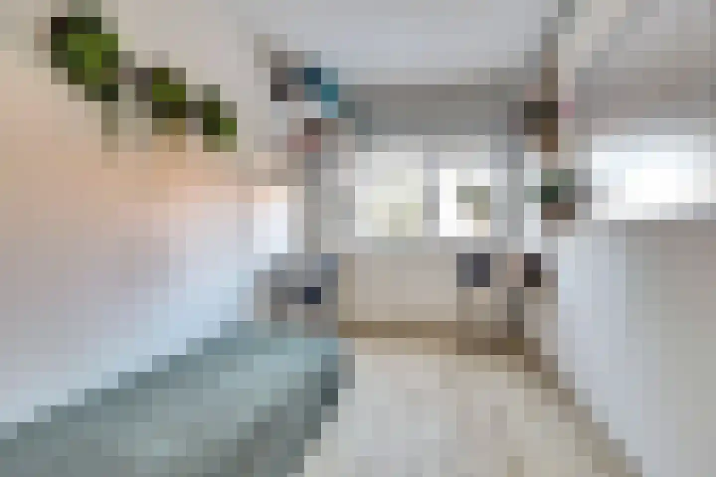 Eenoogje 6 Eindhoven thumbnail 18