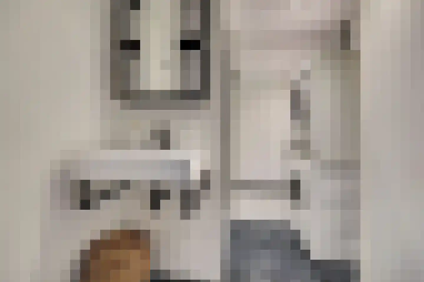 Eenoogje 6 Eindhoven thumbnail 23