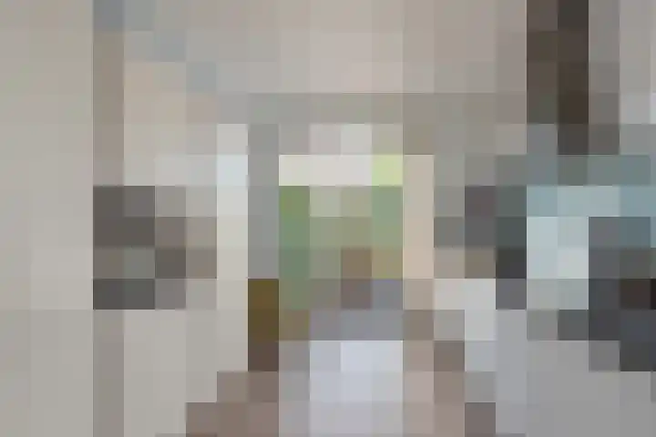 Eenruiter 22 Delft thumbnail 13
