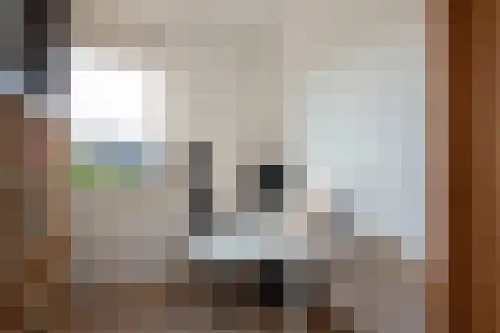 Eenruiter 22 Delft thumbnail 31