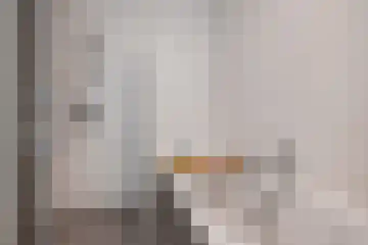 Eenruiter 22 Delft thumbnail 34