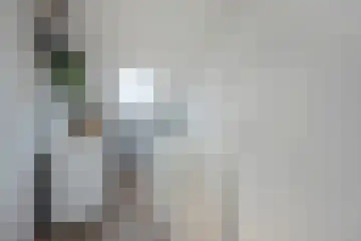 Eenruiter 22 Delft thumbnail 36