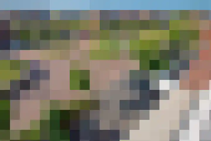 Eenruiter 22 Delft thumbnail 39