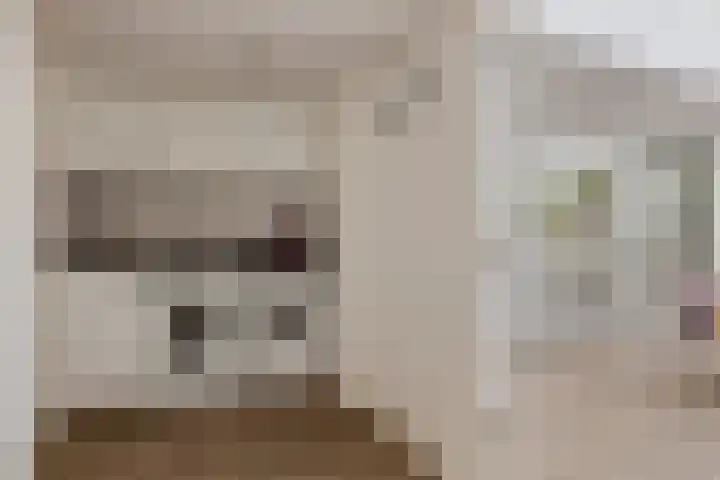 Eenruiter 22 Delft thumbnail 41