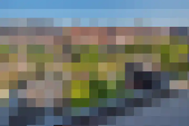 Eenruiter 22 Delft thumbnail 42