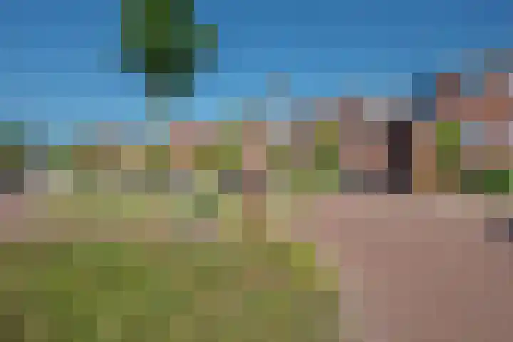 Eenruiter 22 Delft thumbnail 44