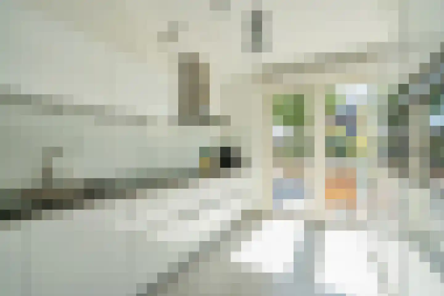 Eenruiter 28 Delft thumbnail 11