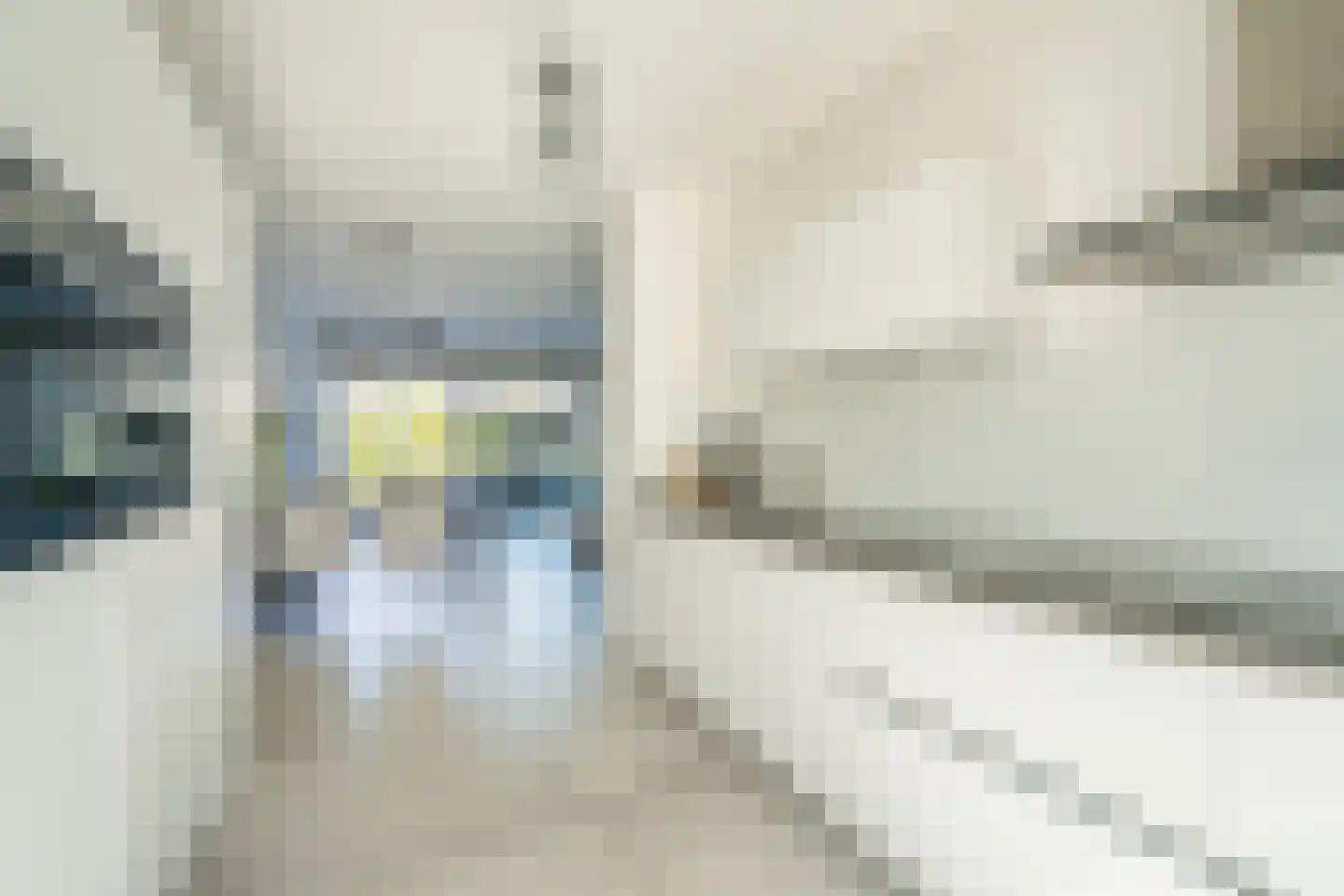 Eenruiter 28 Delft thumbnail 13