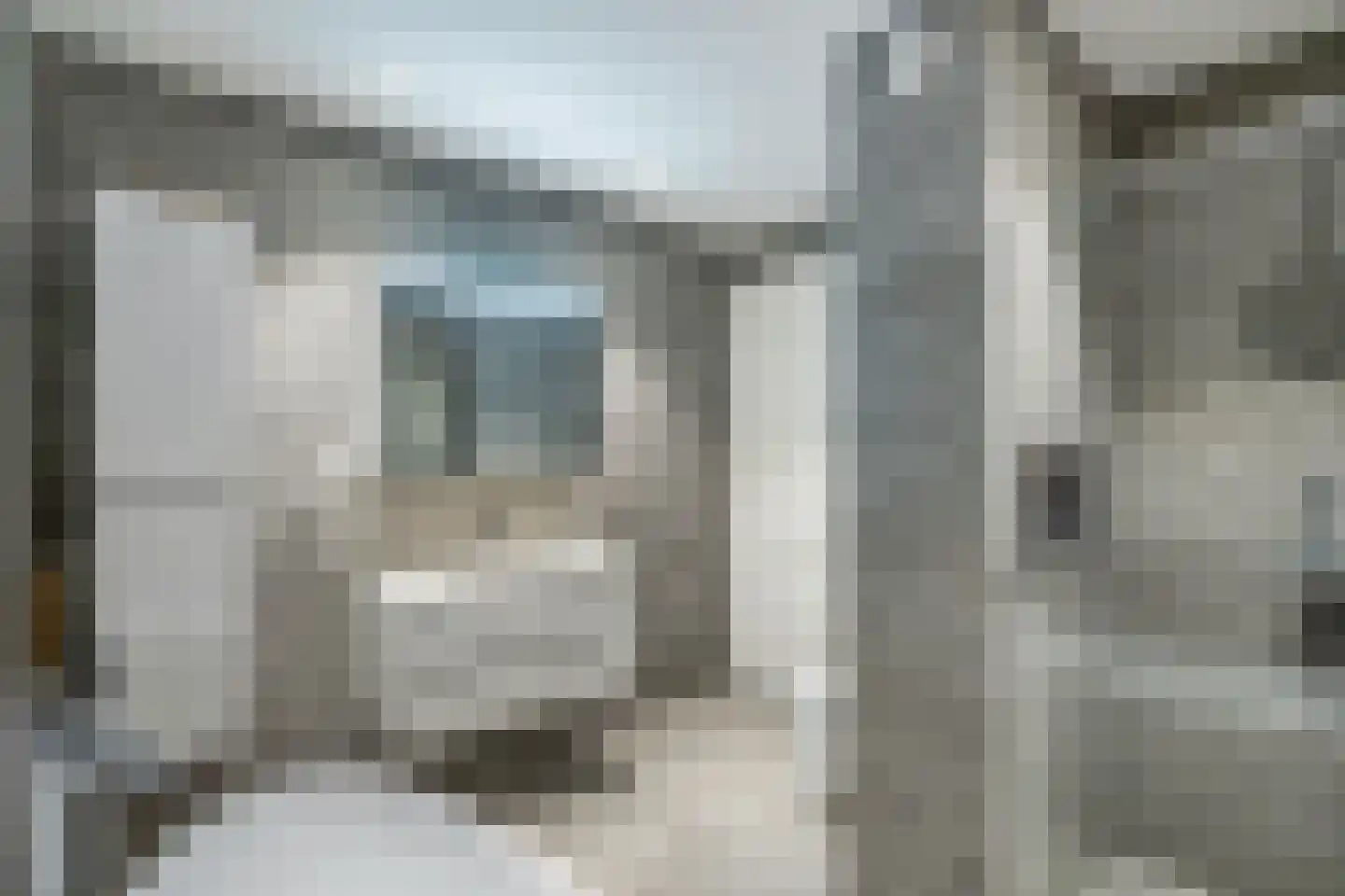Eenruiter 28 Delft thumbnail 23