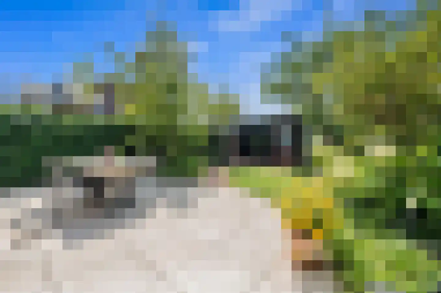 Eenruiter 42 Delft thumbnail 17