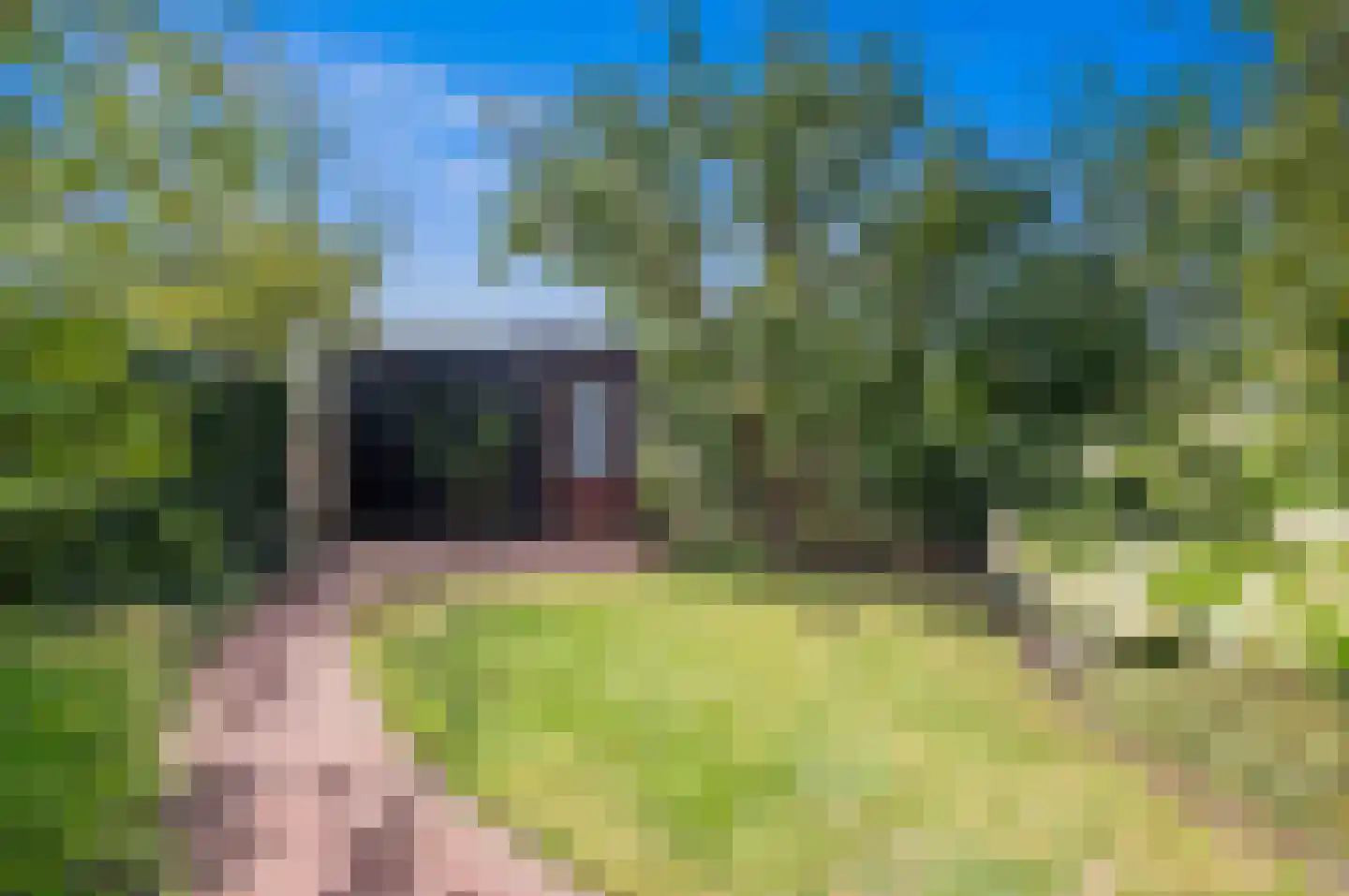 Eenruiter 42 Delft thumbnail 18
