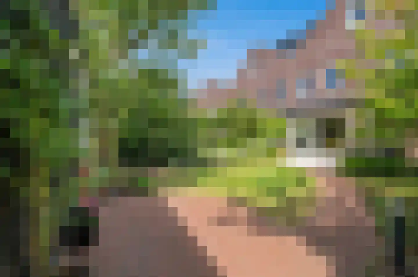 Eenruiter 42 Delft thumbnail 20