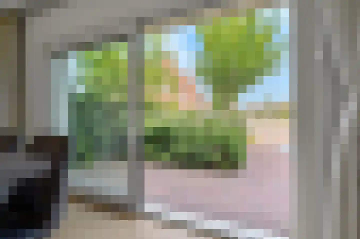 Eenruiter 42 Delft thumbnail 30