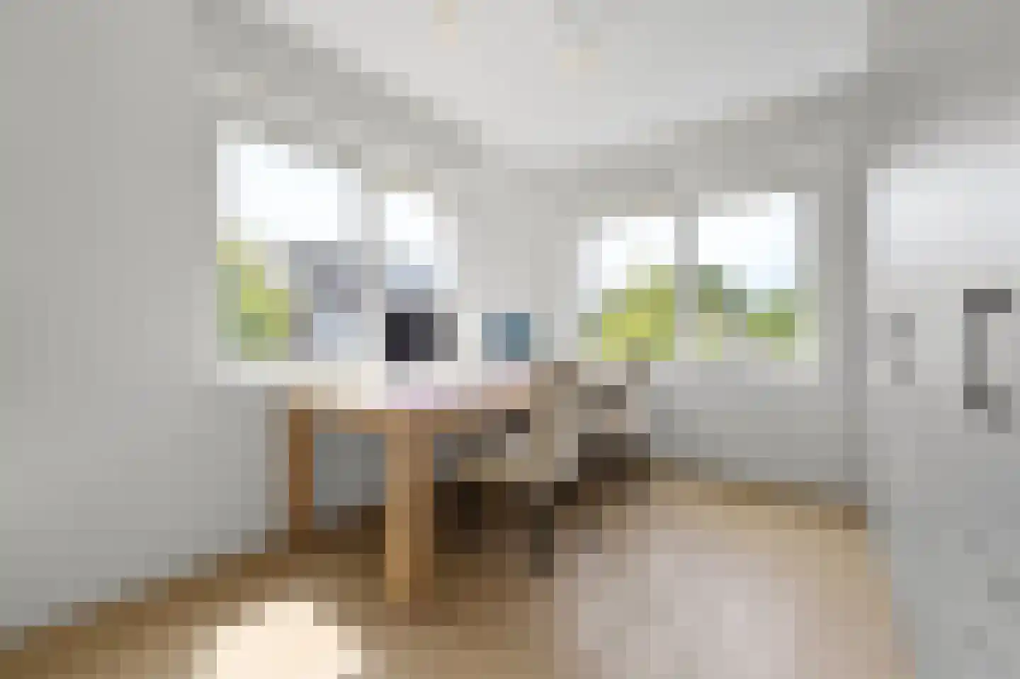 Eenruiter 42 Delft thumbnail 36