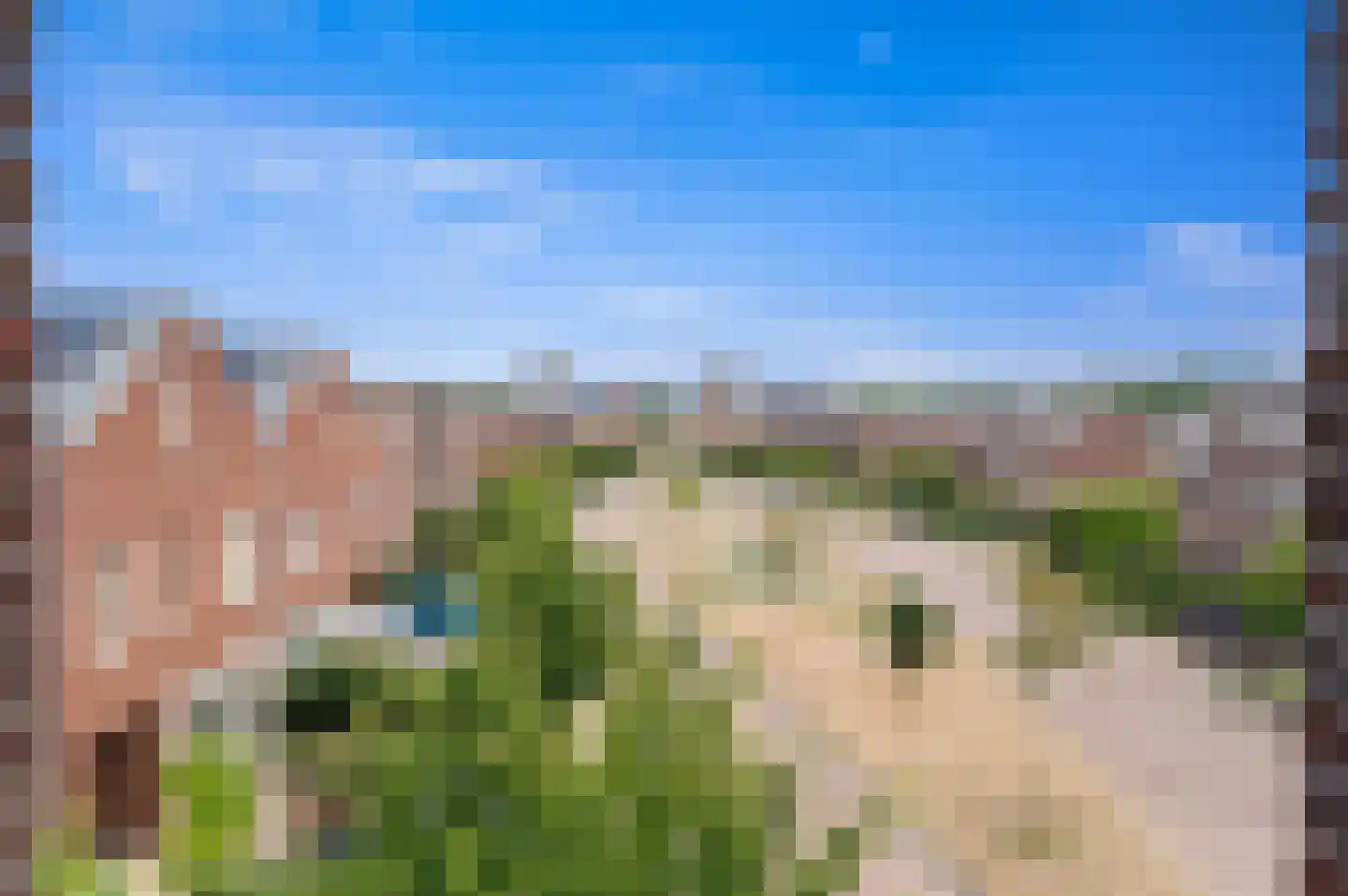 Eenruiter 42 Delft thumbnail 71