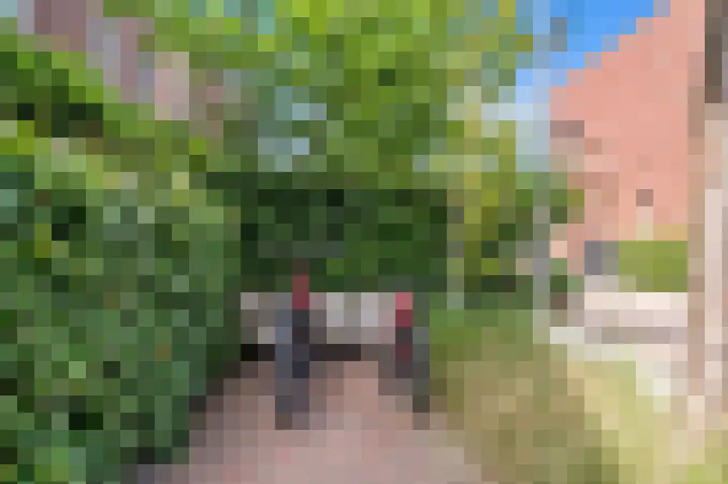 Eenruiter 42 Delft thumbnail 8