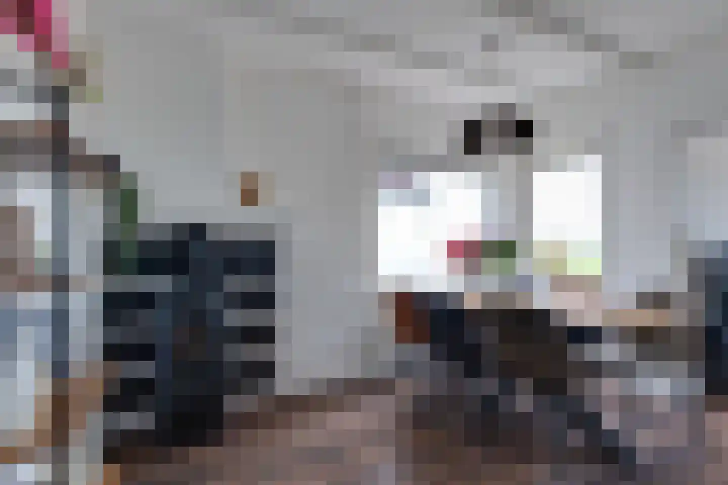Eenrumerweg 34 Baflo thumbnail 15
