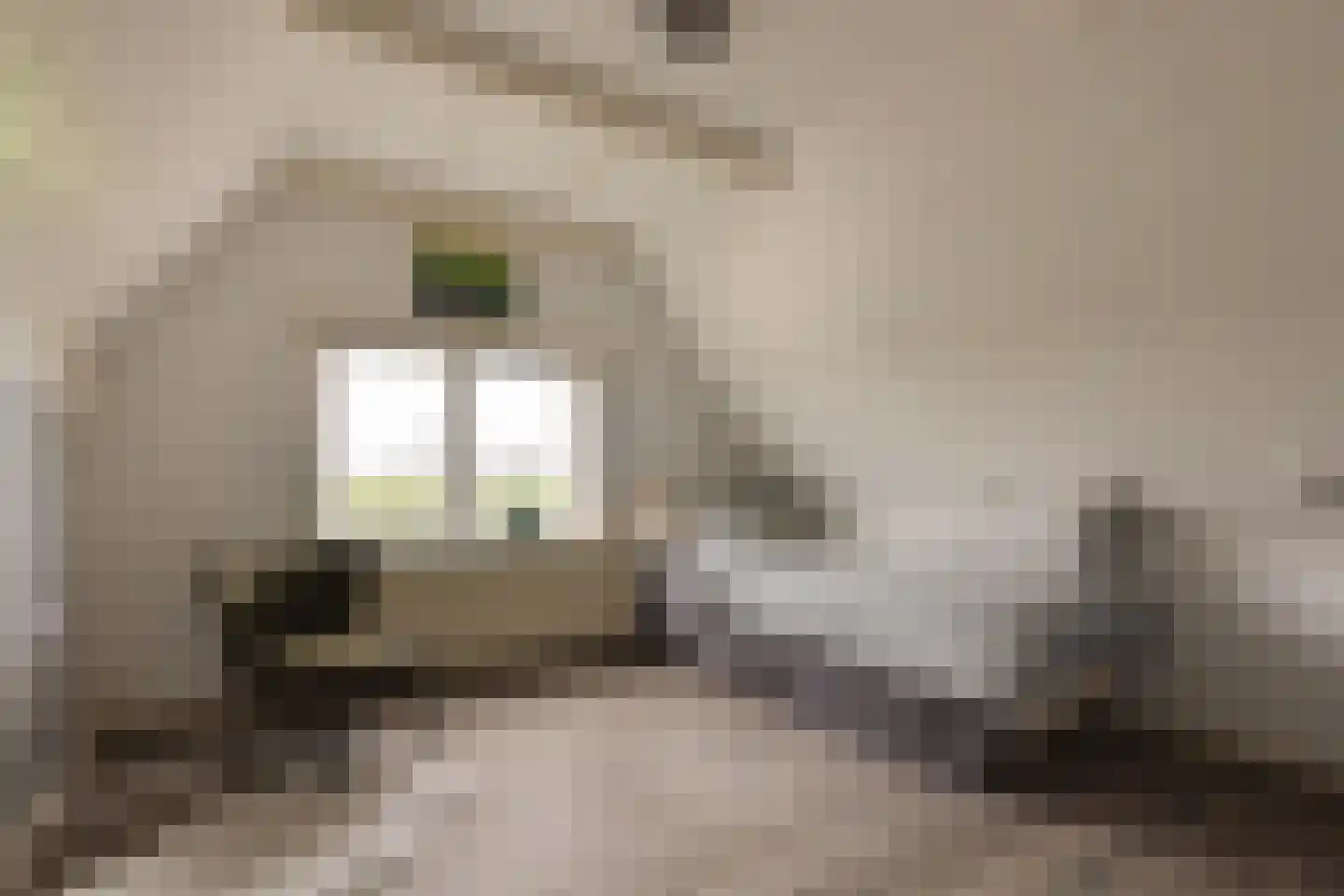 Eenrumerweg 34 Baflo thumbnail 30