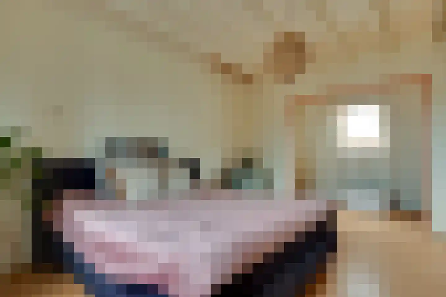 Eenrumerweg 34 Baflo thumbnail 37