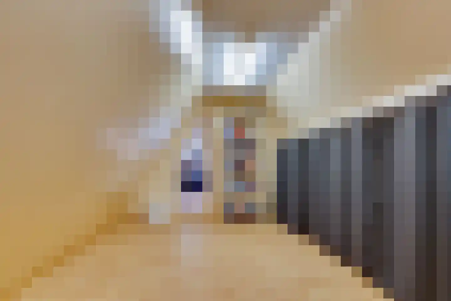 Eenrumerweg 34 Baflo thumbnail 41