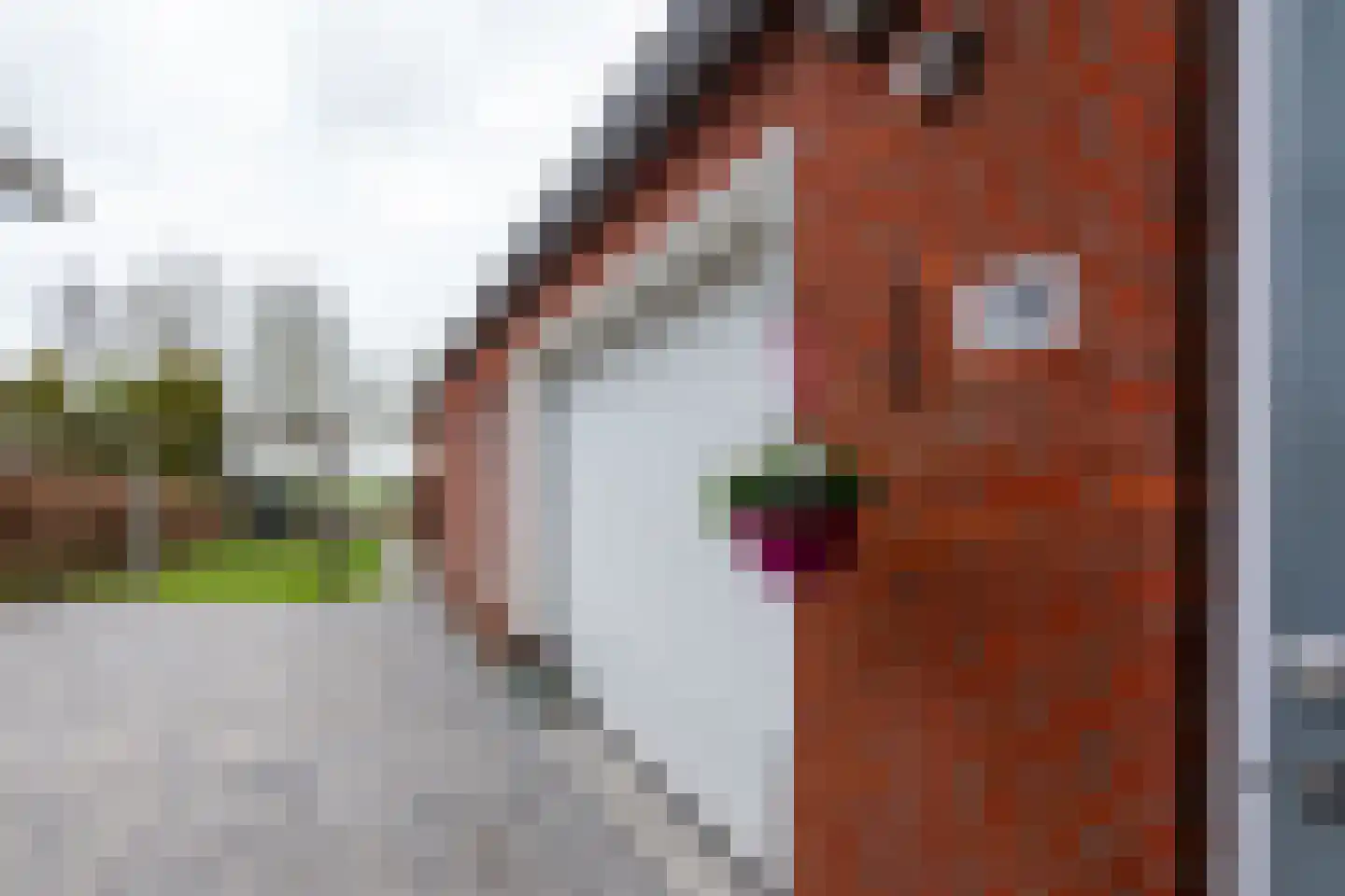 Eenrumerweg 34 Baflo thumbnail 42