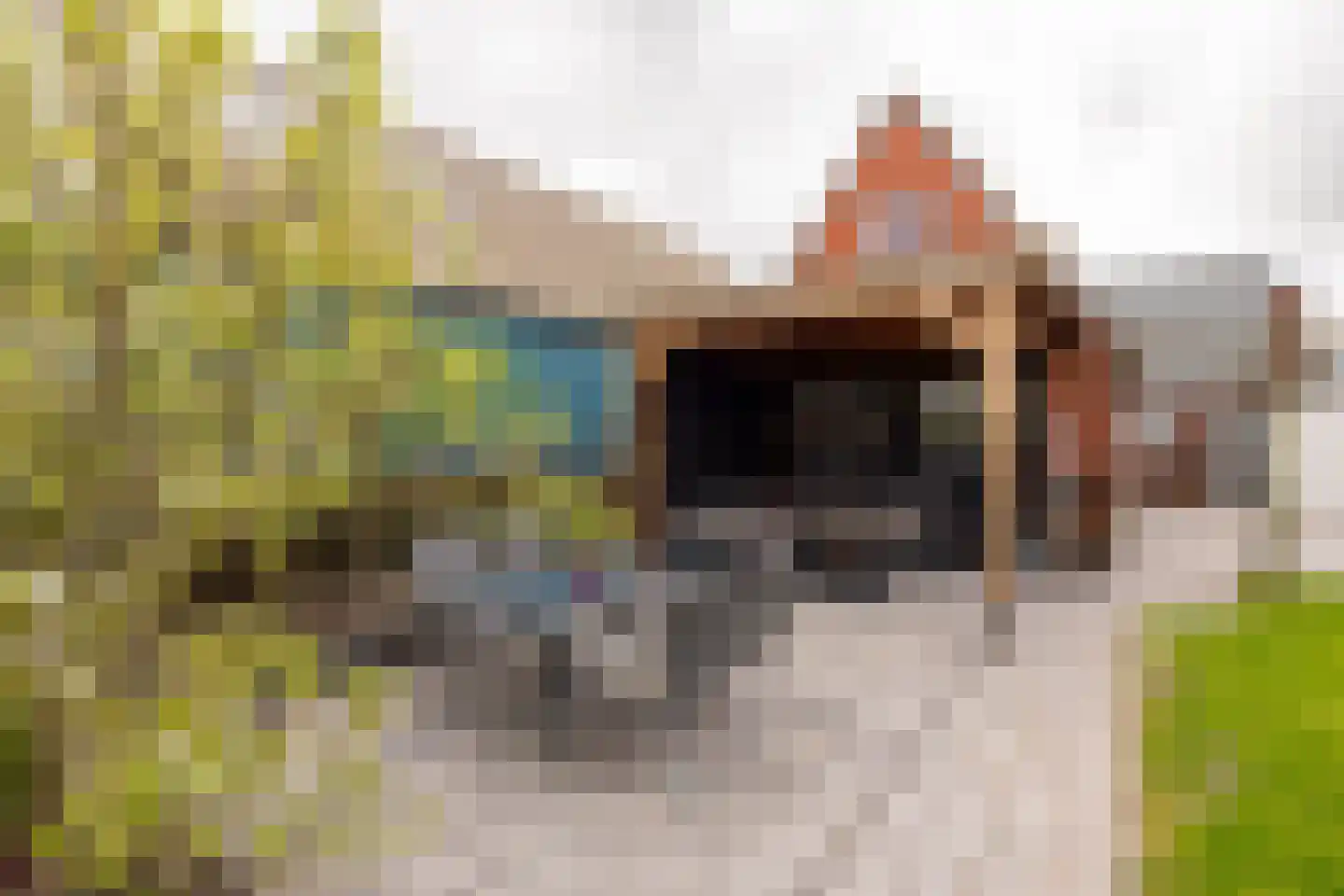 Eenrumerweg 34 Baflo thumbnail 45