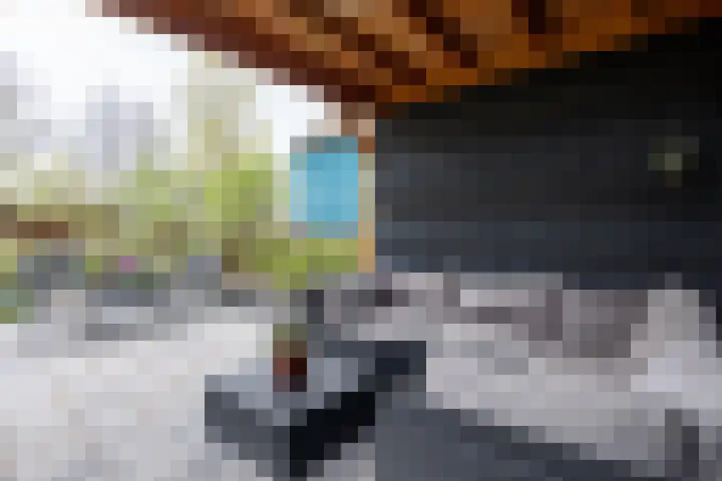 Eenrumerweg 34 Baflo thumbnail 46