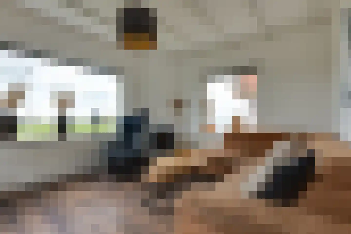 Eenrumerweg 34 Baflo thumbnail 7