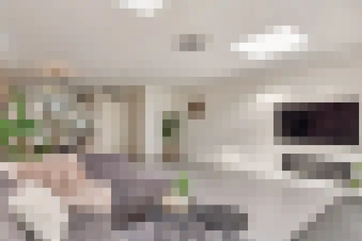 Eensgevonden 12 Amsterdam thumbnail 10