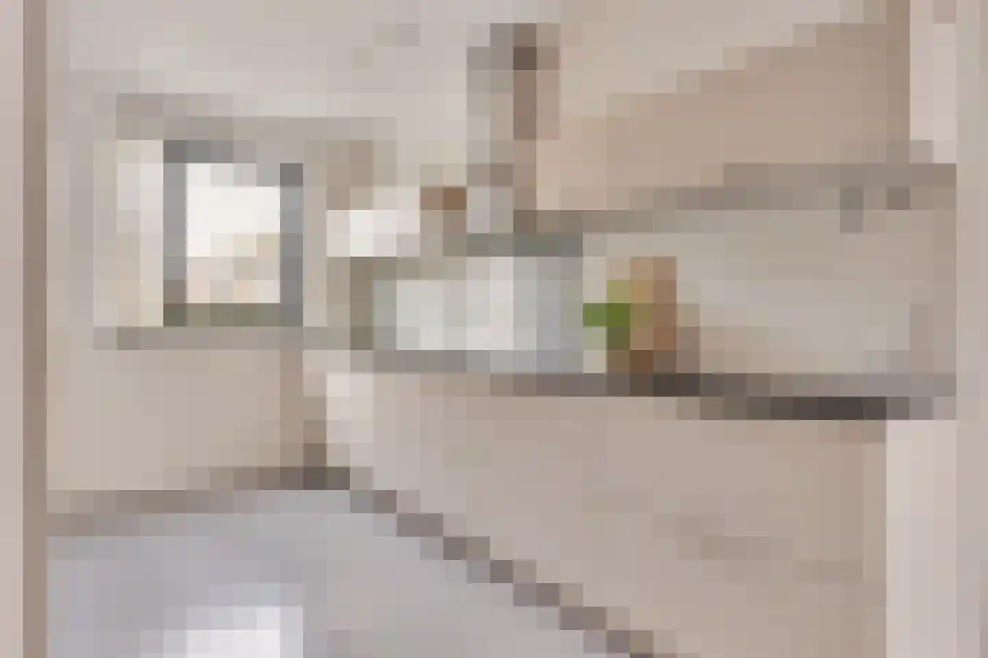 Eensgevonden 12 Amsterdam thumbnail 15
