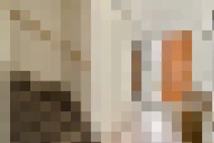 Eensgevonden 4 Amsterdam thumbnail 10