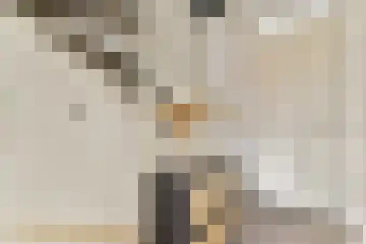 Eensgevonden 4 Amsterdam thumbnail 12
