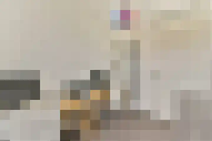 Eensgevonden 4 Amsterdam thumbnail 20