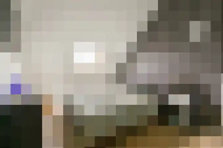 Eensgevonden 4 Amsterdam thumbnail 22