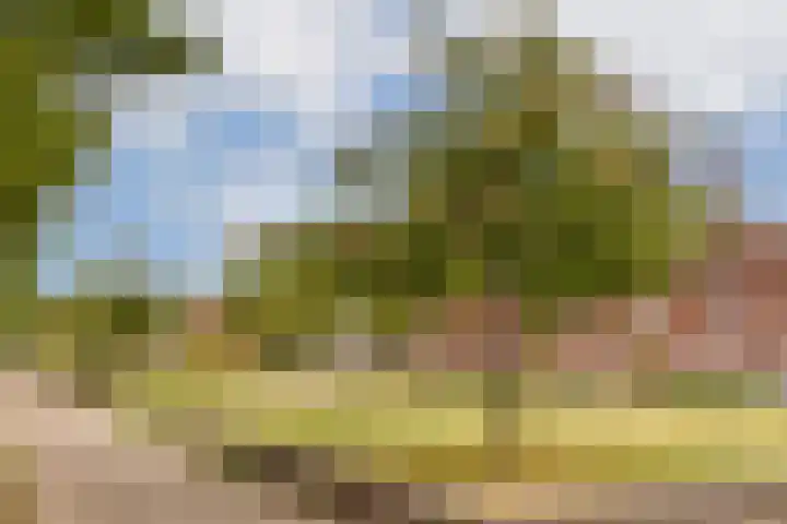 Eensgevonden 4 Amsterdam thumbnail 26