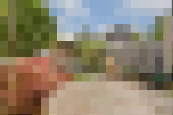 Eensgevonden 4 Amsterdam thumbnail 4