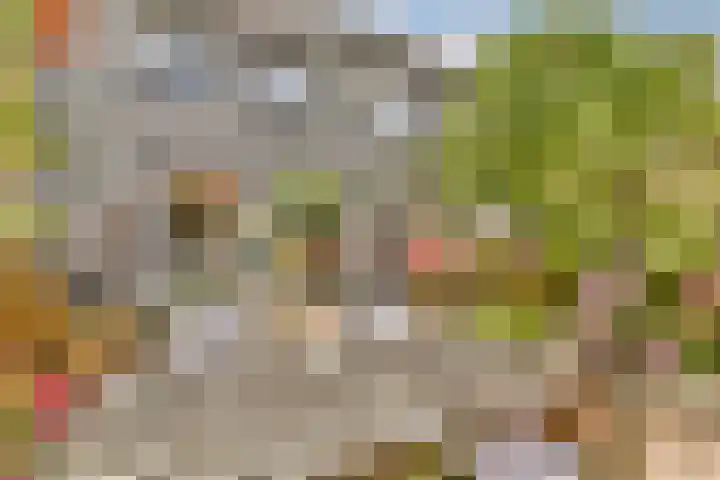 Eensgevonden 4 Amsterdam thumbnail 5