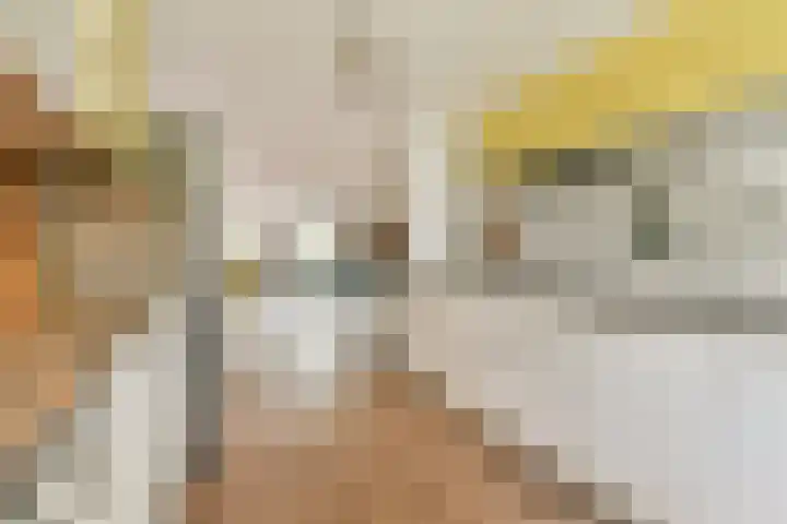 Eensgevonden 4 Amsterdam thumbnail 9