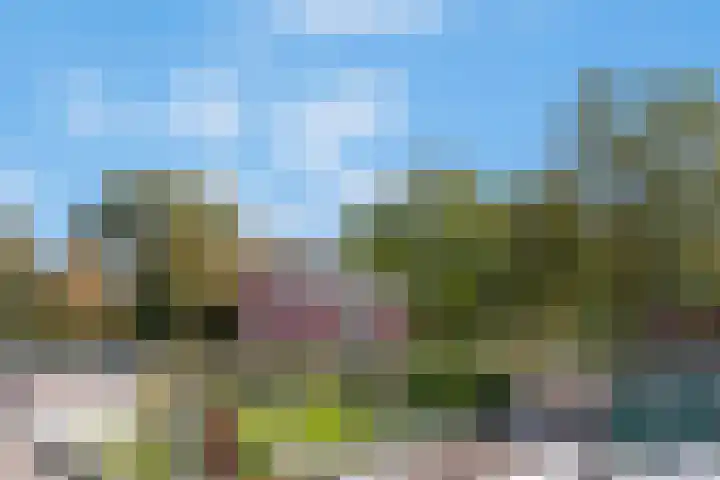 Eenvoudlaan 54 A Veenendaal thumbnail 8