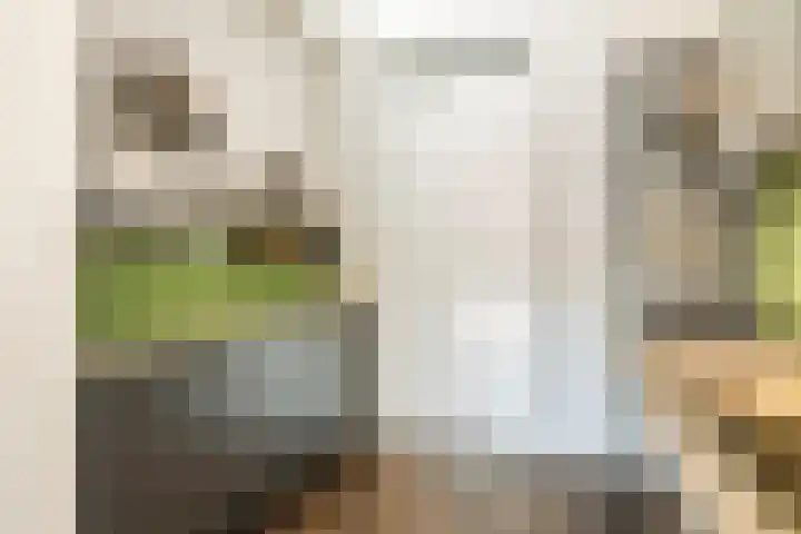 Eenvoudlaan 54 Veenendaal thumbnail 10
