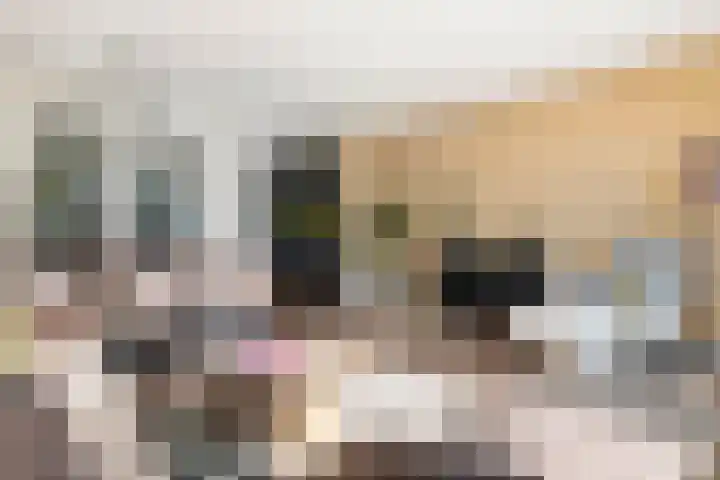 Eenvoudlaan 54 Veenendaal thumbnail 15