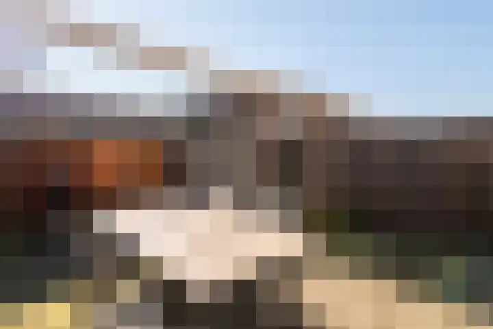 Eenvoudlaan 54 Veenendaal thumbnail 19